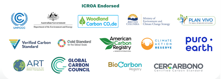 These standards and frameworks  for carbon credits.png